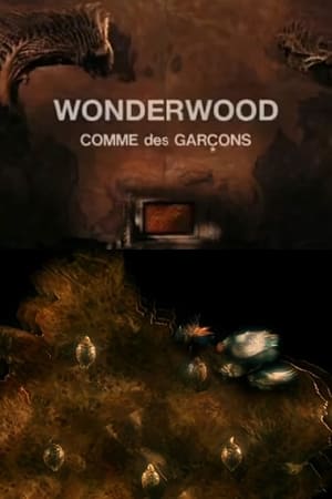 Wonderwood: Comme des garçons