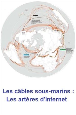 Les câbles sous-marins : Les artères d'Internet