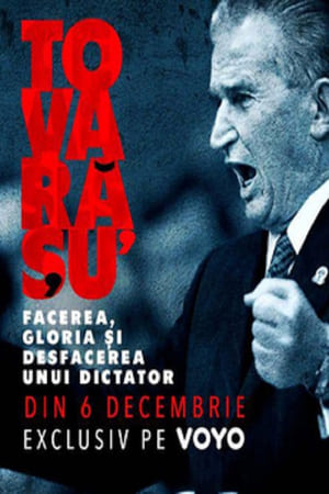 Tovarășu': facerea, gloria și desfacerea unui dictator