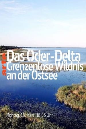 Das Oder-Delta - Grenzenlose Wildnis an der Ostsee