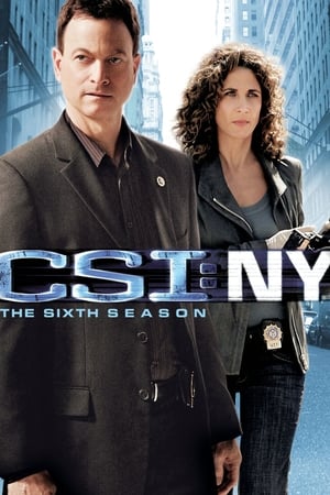 犯罪现场调查之纽约篇第6季