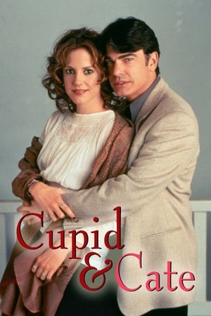 Cupid & Cate(2000电影)