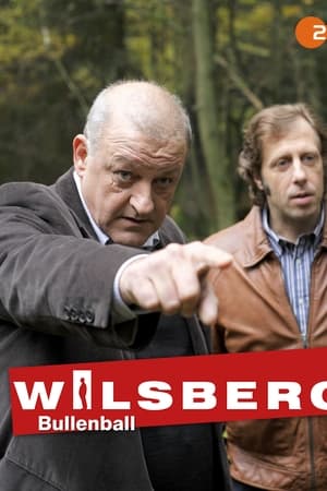 Wilsberg: Bullenball