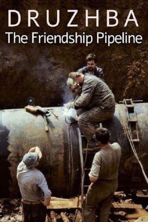 Druzhba: The Friendship Pipeline