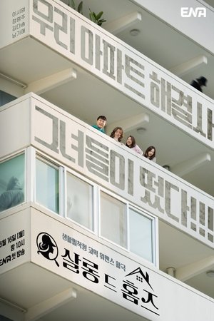 主妇侦探社