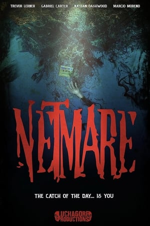 Netmare