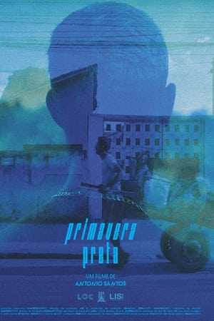 Primavera Preta