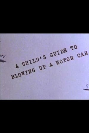 A Child's Guide to Blowing Up a Motor Car
